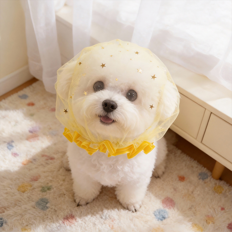 Pet Supplies York - Anti Bark Summer Dog Cap Outdoor