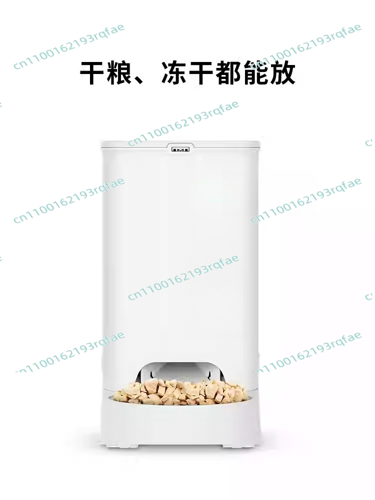 Pet Supplies Is Food - Smart Feeder New SOLO Pet Supplies