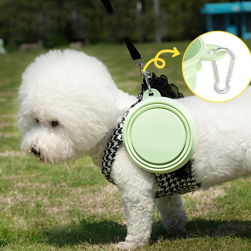 Color Pet Supplies Portable Fo - Pet Supplies Is Food 评论和价格