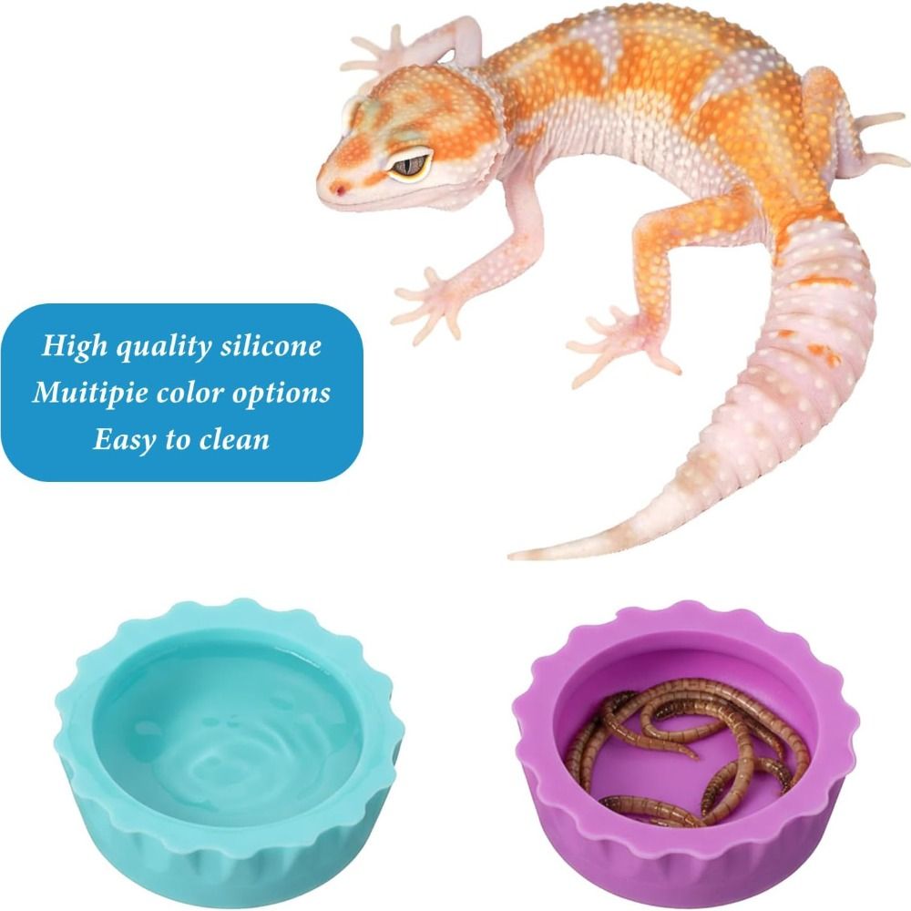 6pcs BPA Free Silicone Reptile - Pet Supplies Is Food 评论和价格