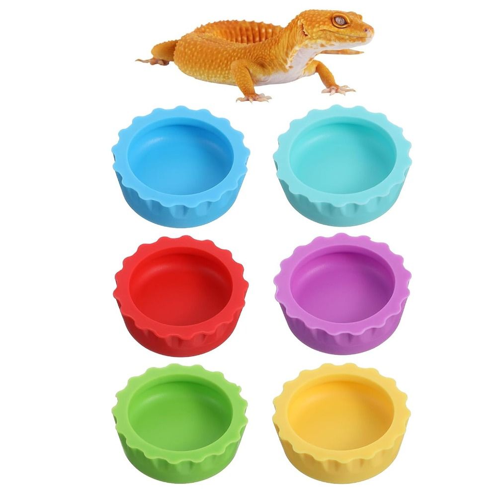 6pcs BPA Free Silicone Reptile - Pet Supplies Is Food 评论和价格
