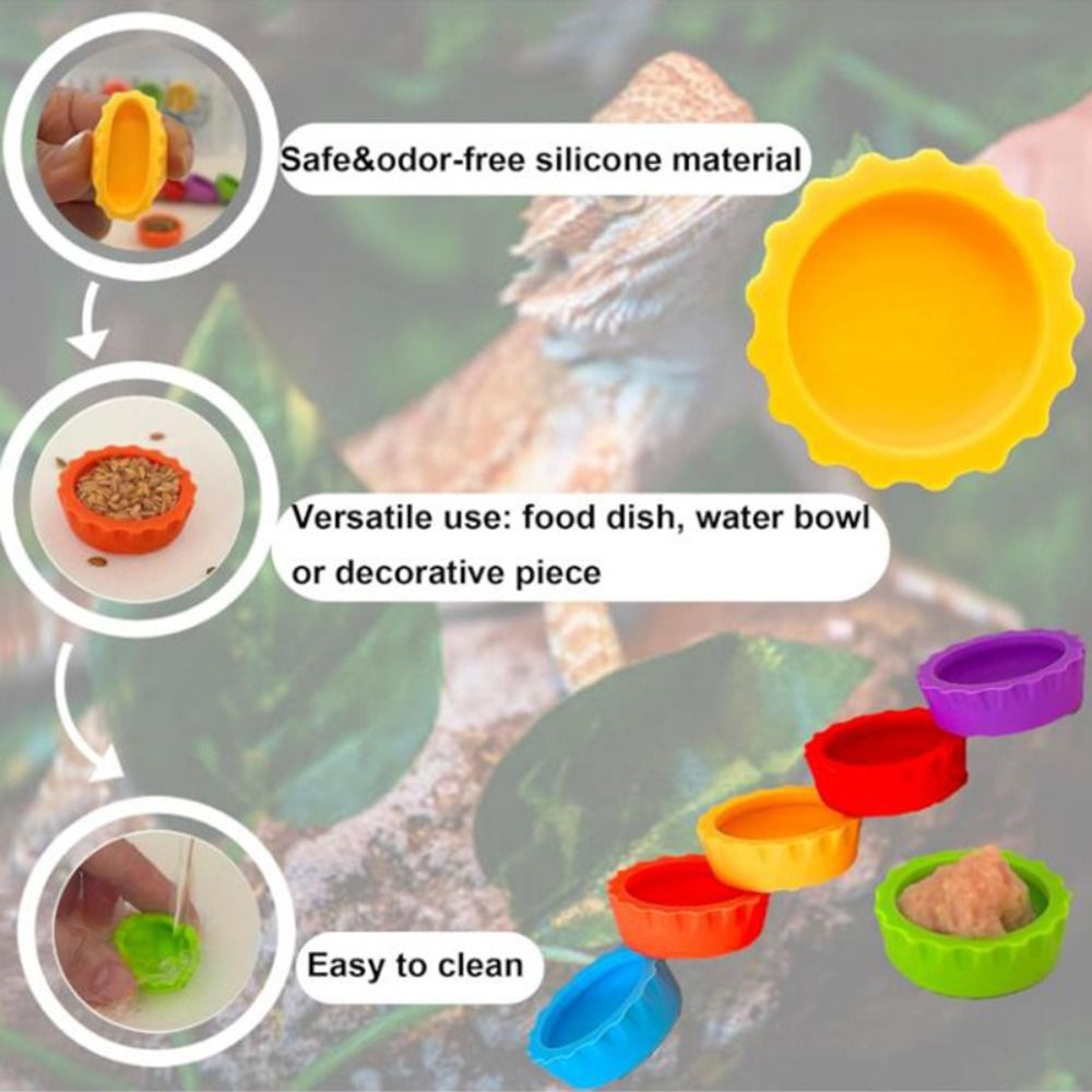 6pcs BPA Free Silicone Reptile - Pet Supplies Is Food 评论和价格