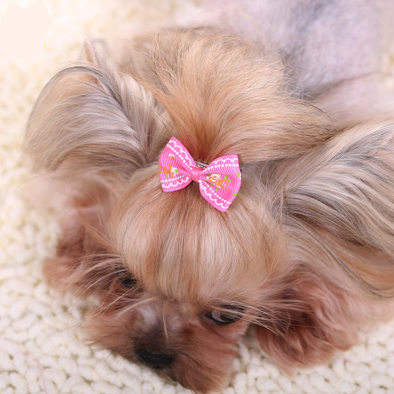 New Hairpin for Dogs Kitten Pu - Pet Supplies York 评论和价格