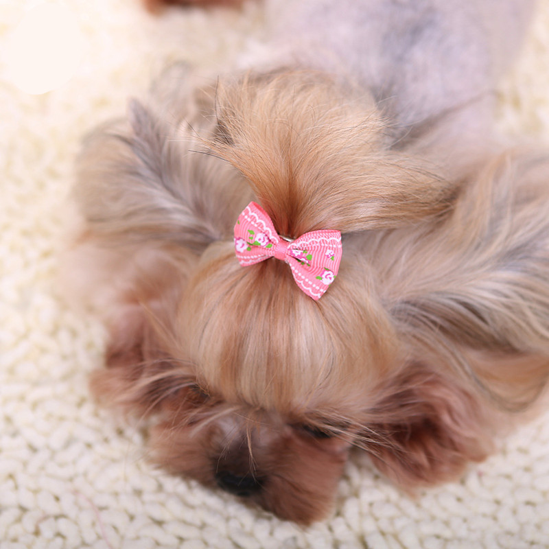 New Hairpin for Dogs Kitten Pu - Pet Supplies York 评论和价格
