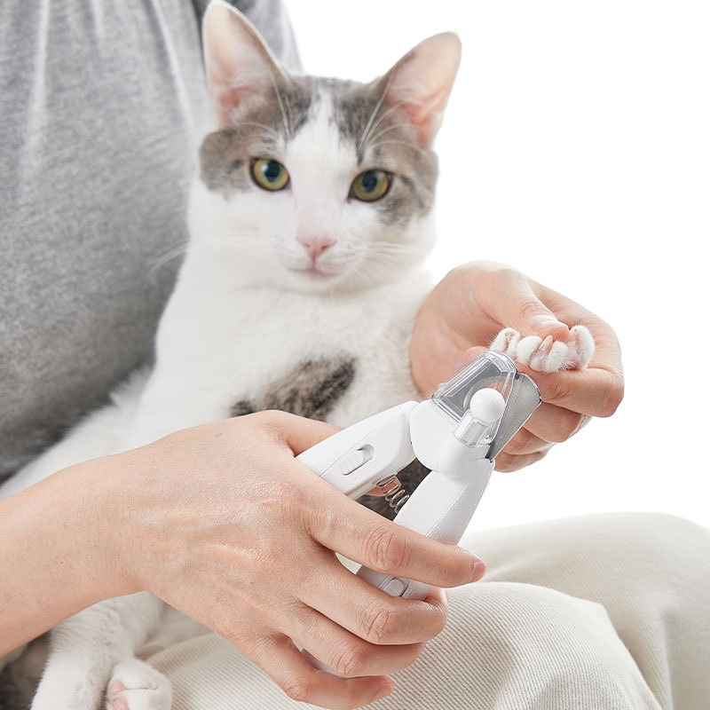 PETKIT Hair Cutting Machine Do - Pet Supplies Grooming Hours 评论和价格