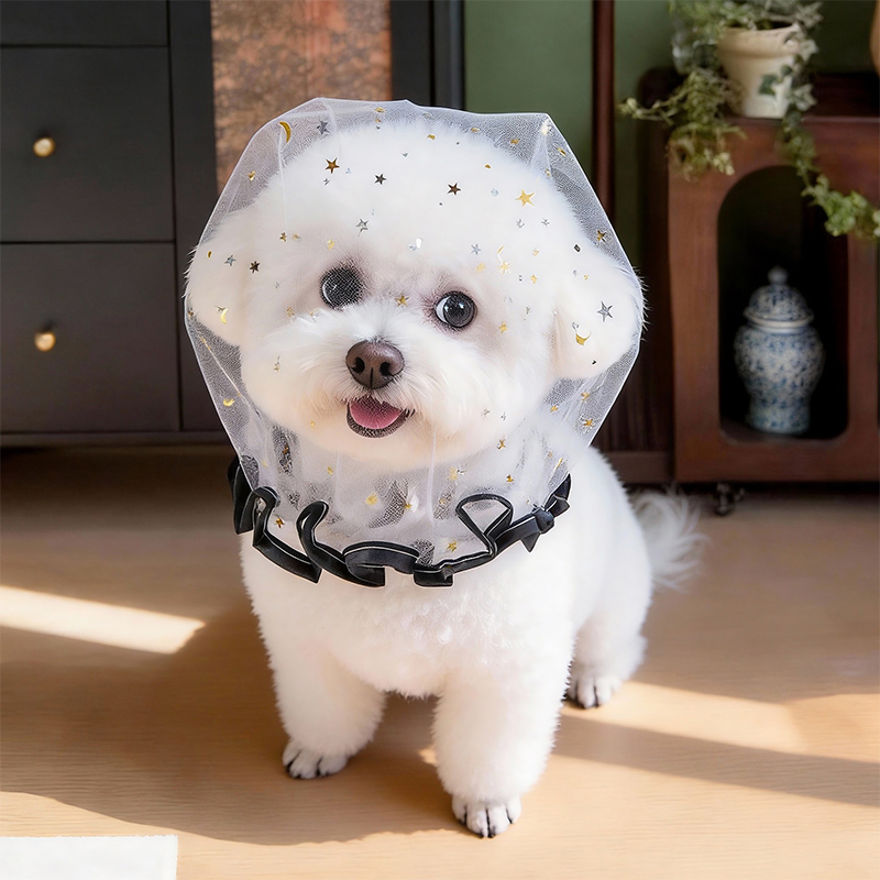 Anti Bark Summer Dog Cap Outdo - Pet Supplies York 评论和价格