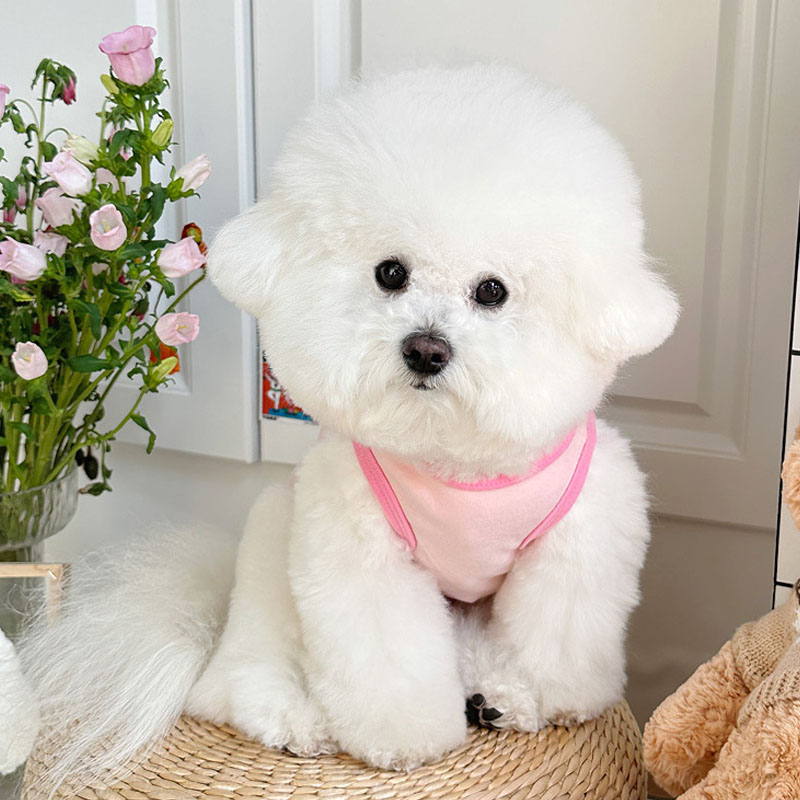Cartoon Dog Clothes Sleeveless - Pet Supplies York 评论和价格