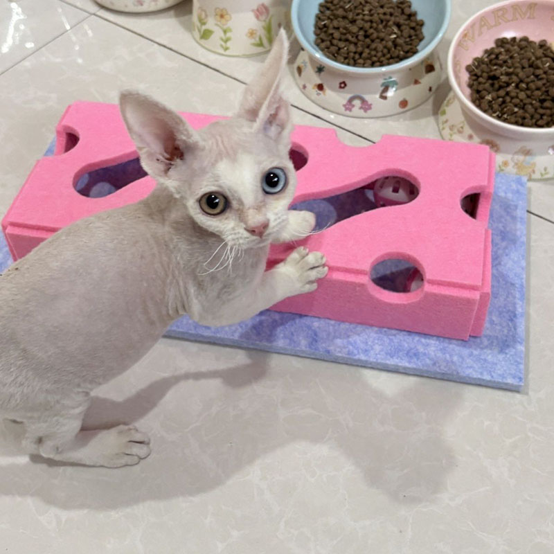 New Cat Puzzle Toys Felt Toy B - Cat Tunnel Toy 评论和价格