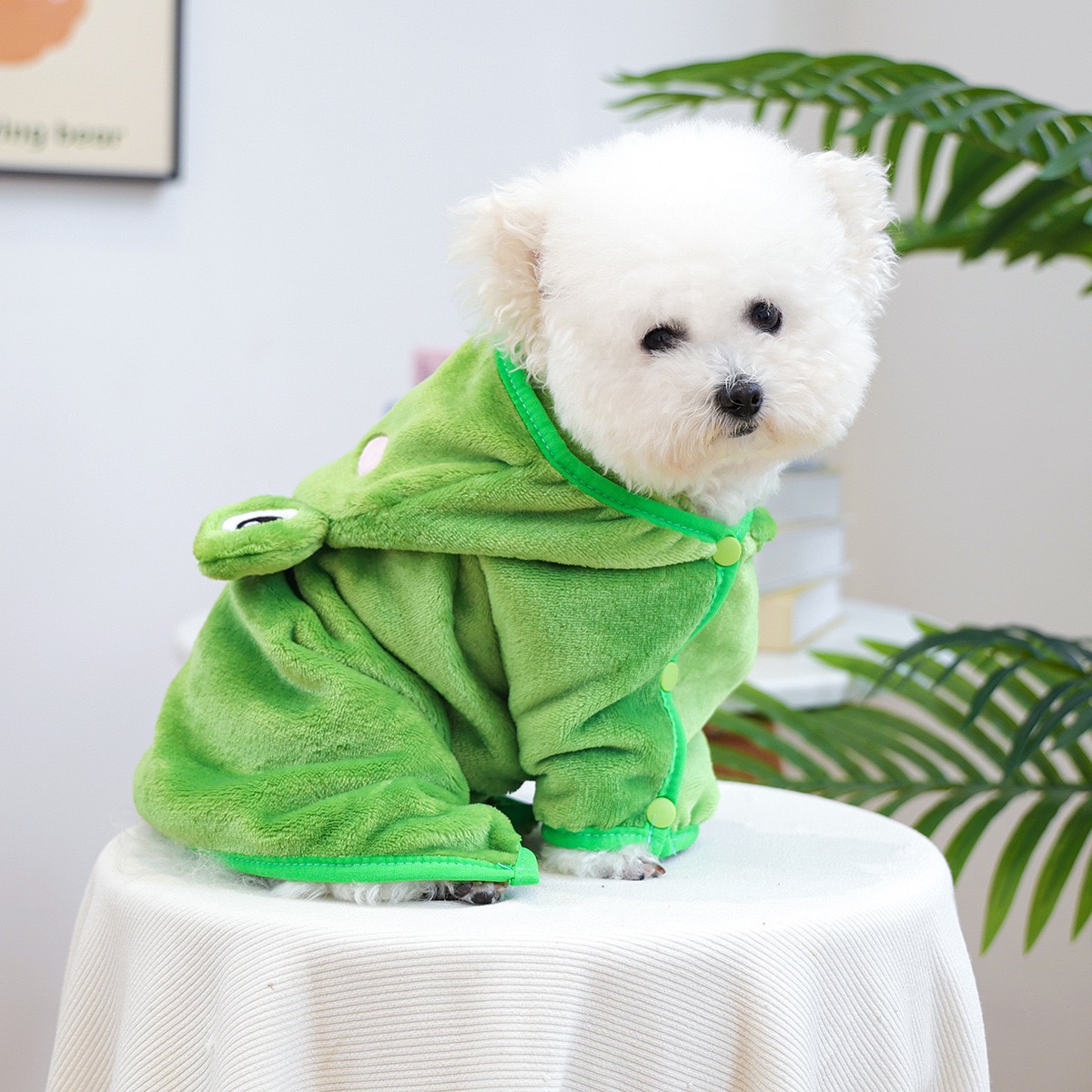 Frog Cap One Piece Dogs Cloak  - Pet Supplies York 评论和价格