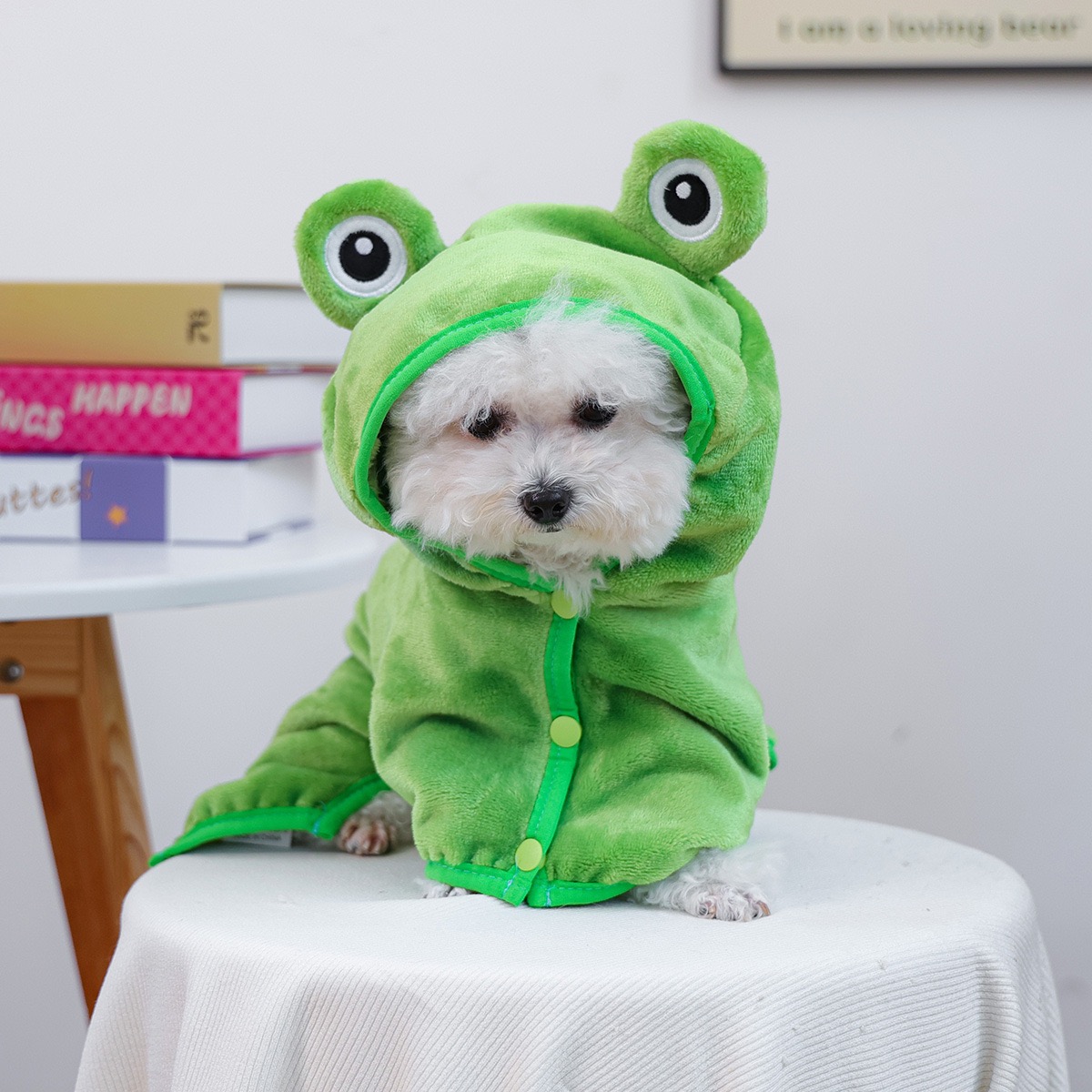 Frog Cap One Piece Dogs Cloak  - Pet Supplies York 评论和价格