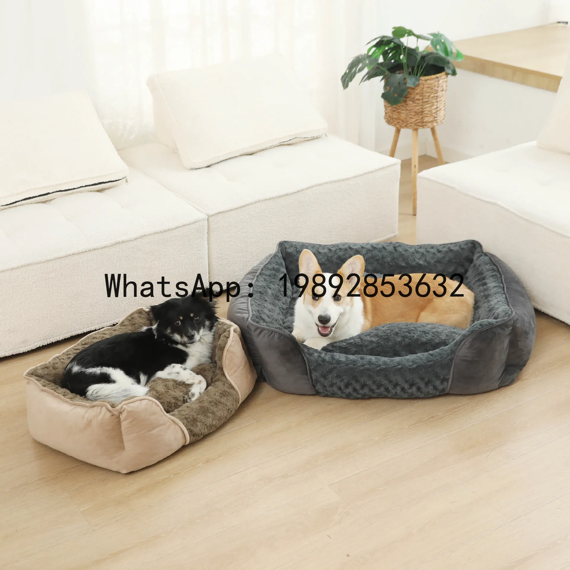 X cat house semi-enclosed dog  - Pet X Supplies & Tack Howell Mi 评论和价格