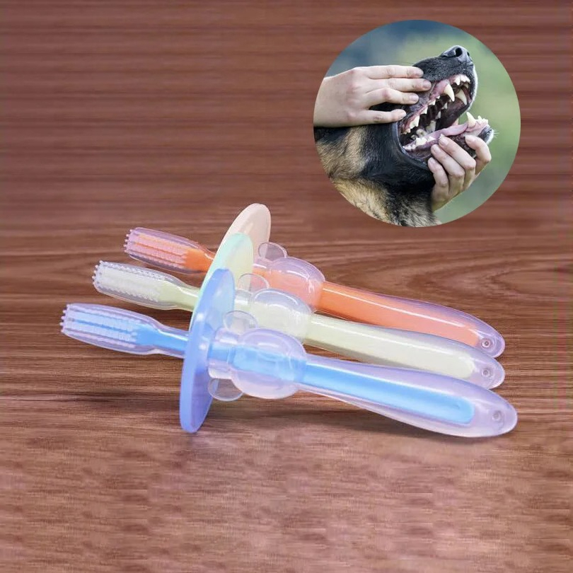 Hurt Addition Bad Breath Tarta - Pet Supplies Is Food 评论和价格