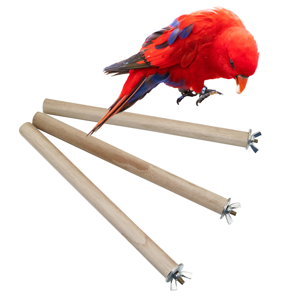 1 Pc Parrot Pigeon Pet Bird Lo - Pet Supplies Login 评论和价格