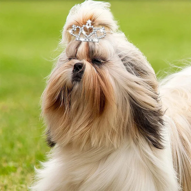 Bling Delicate Crystal Dog Hai - Pet Supplies York 评论和价格