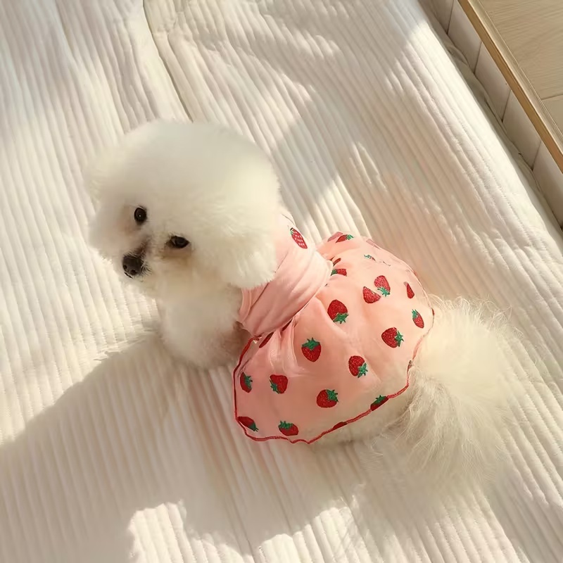 Summer Thin Puppy Princess Ski - Pet Supplies York 评论和价格
