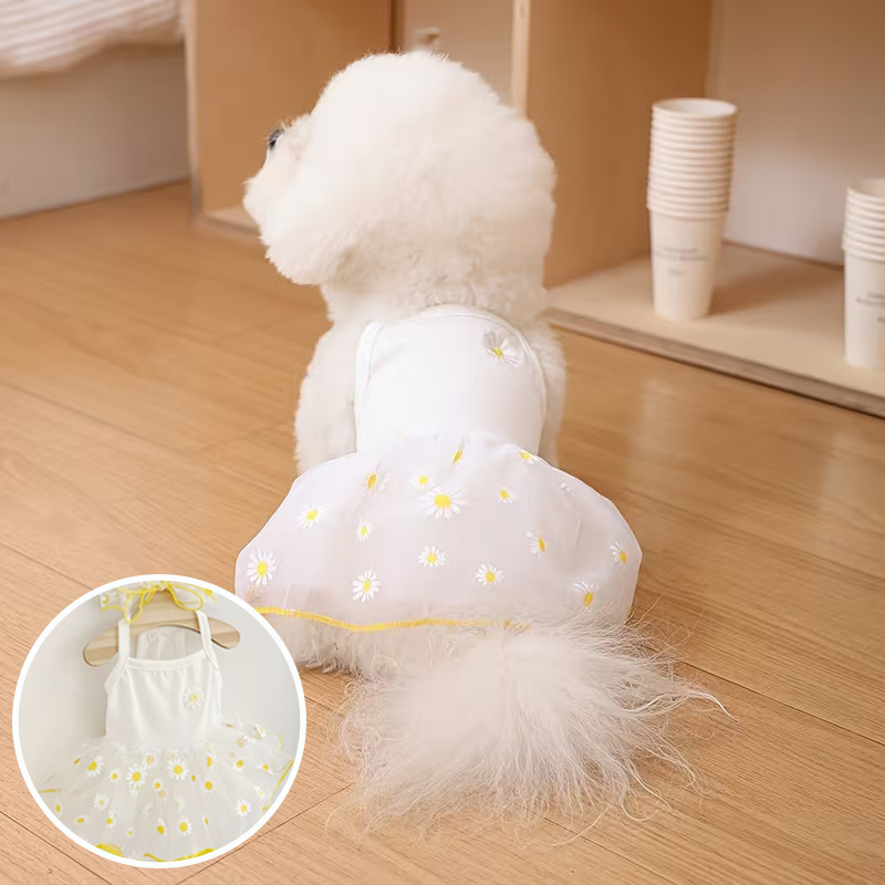 Summer Thin Puppy Princess Ski - Pet Supplies York 评论和价格