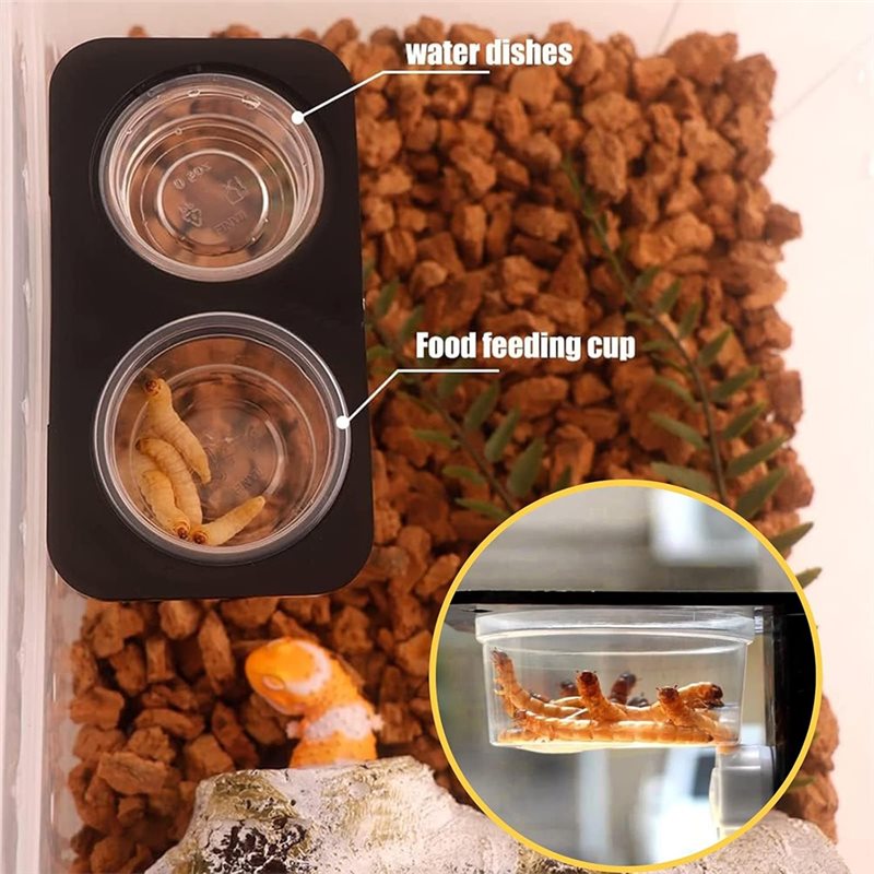 Crested Gecko Food And Water F - Pet Supplies Is Food 评论和价格