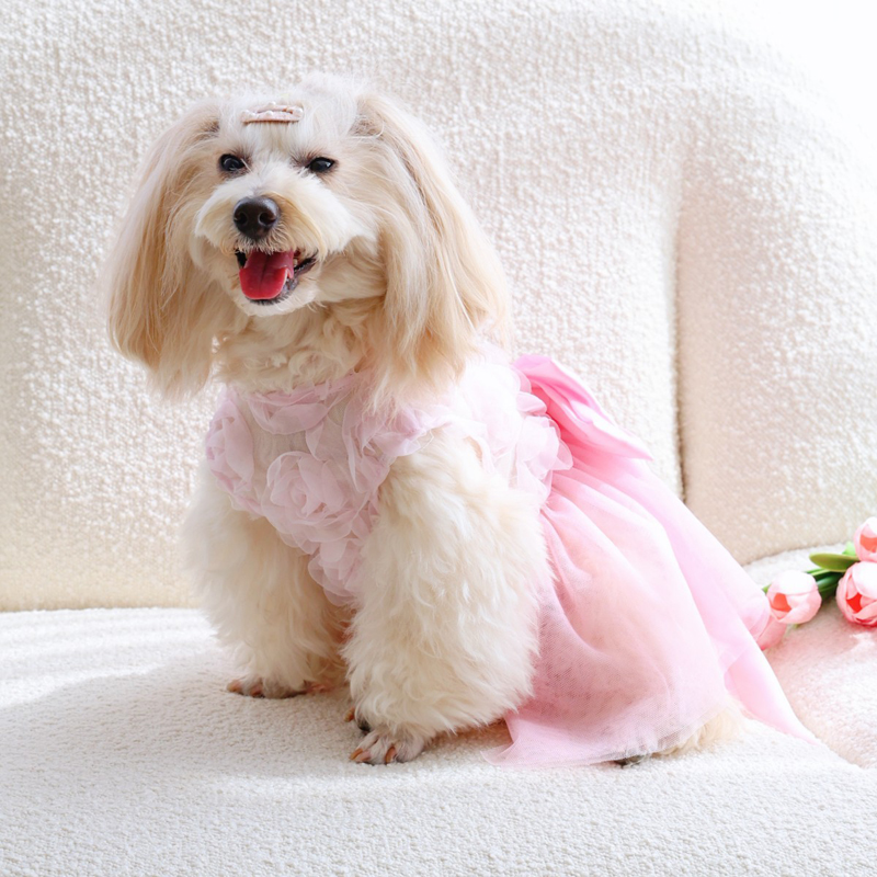 Spring Summer Thin Puppy Princ - Pet Supplies York 评论和价格