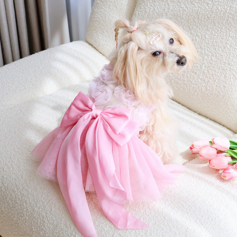 Spring Summer Thin Puppy Princ - Pet Supplies York 评论和价格