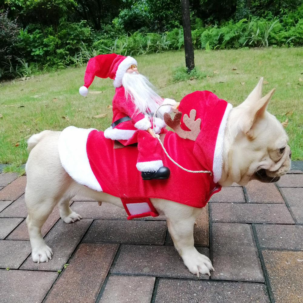 Winter Happy New Year Pet Cost - Pet Supplies York 评论和价格
