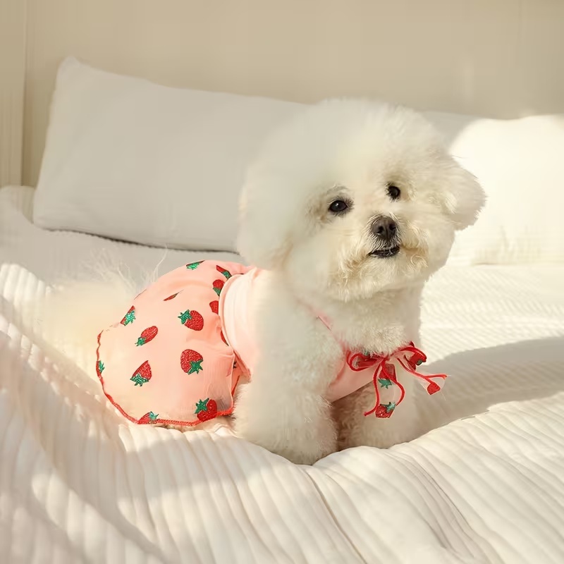 Summer Thin Puppy Princess Ski - Pet Supplies York 评论和价格